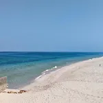 Ras Al Hadd Orchid